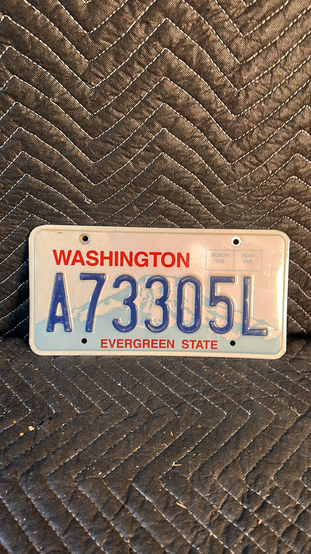 Washington State License Plate (Mount Rainier Design)