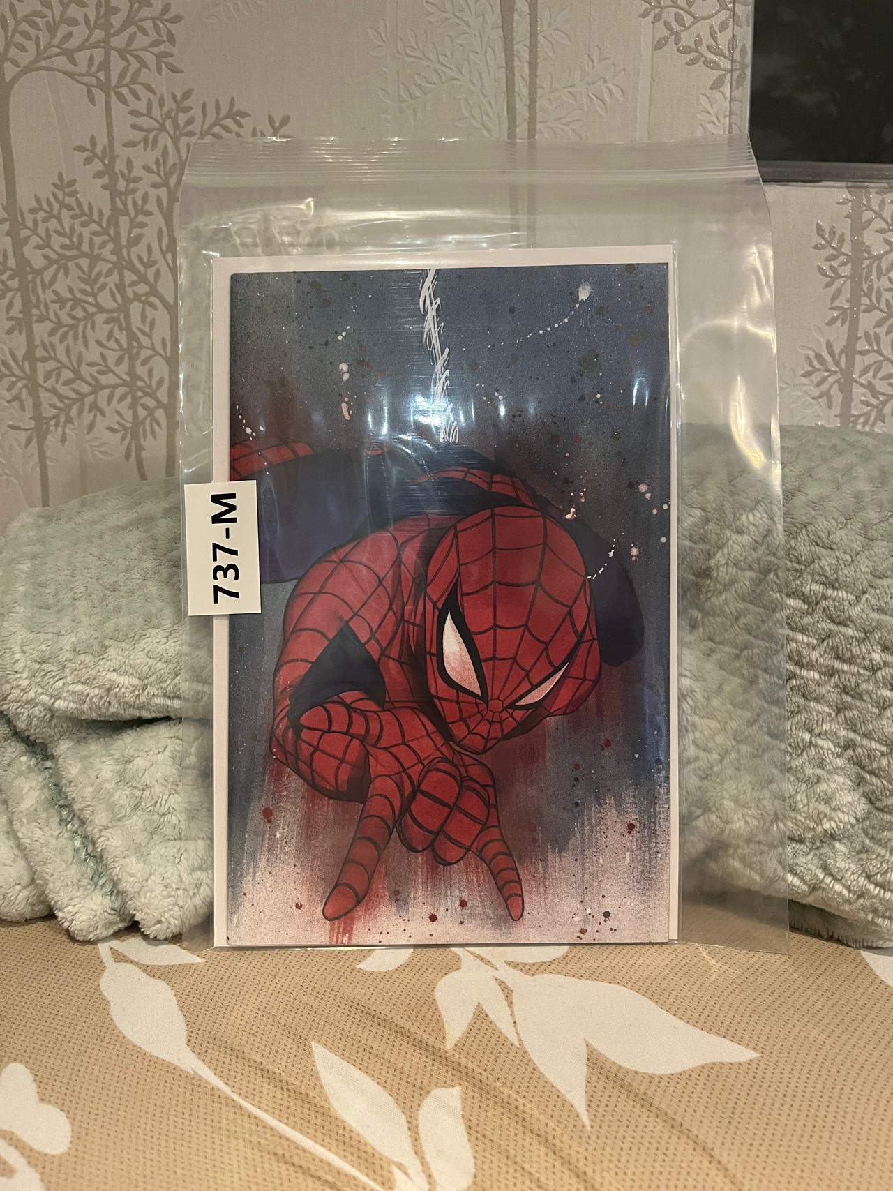 Spider-Man Art Print