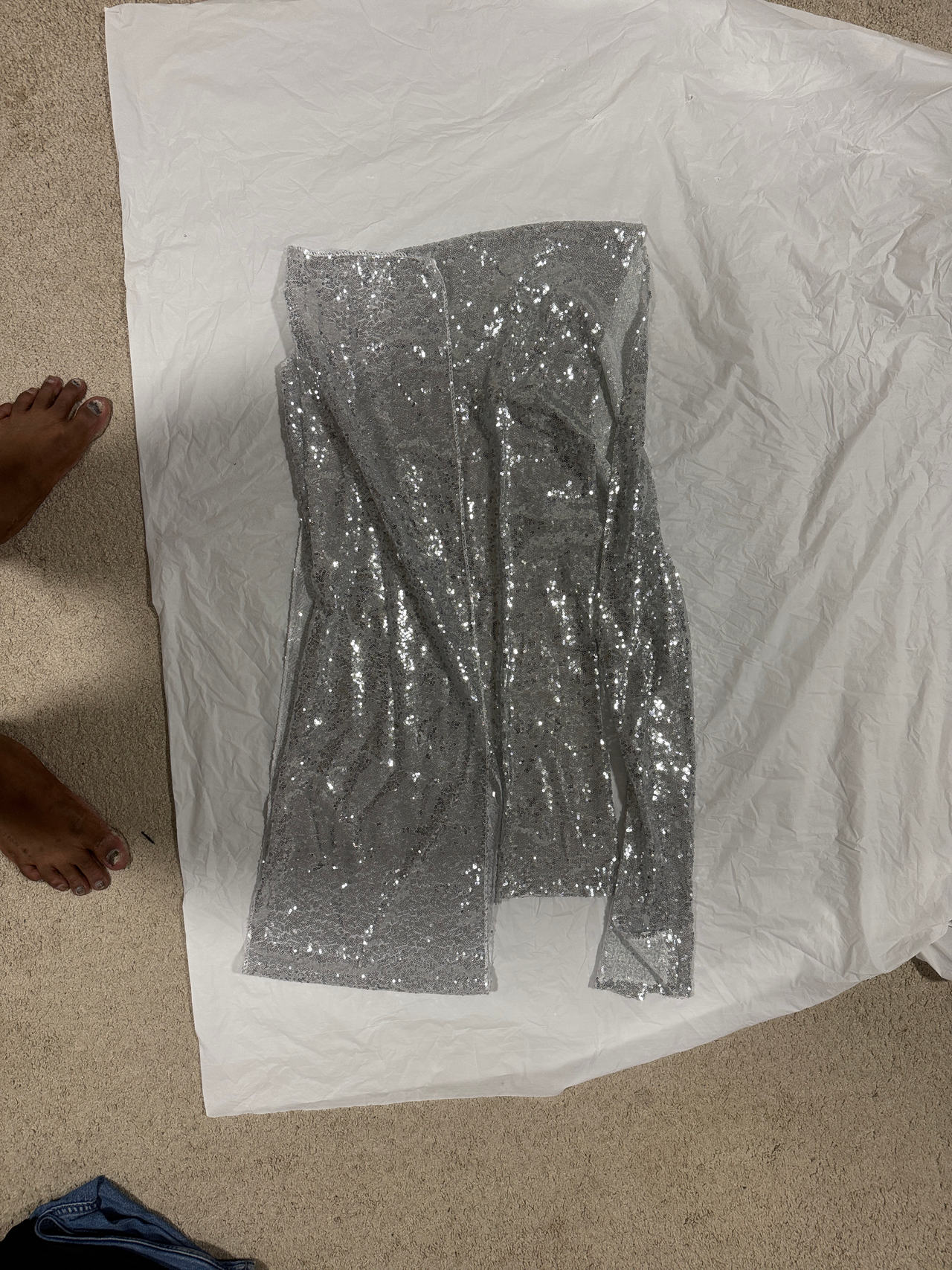 Silver Sequin Cloth