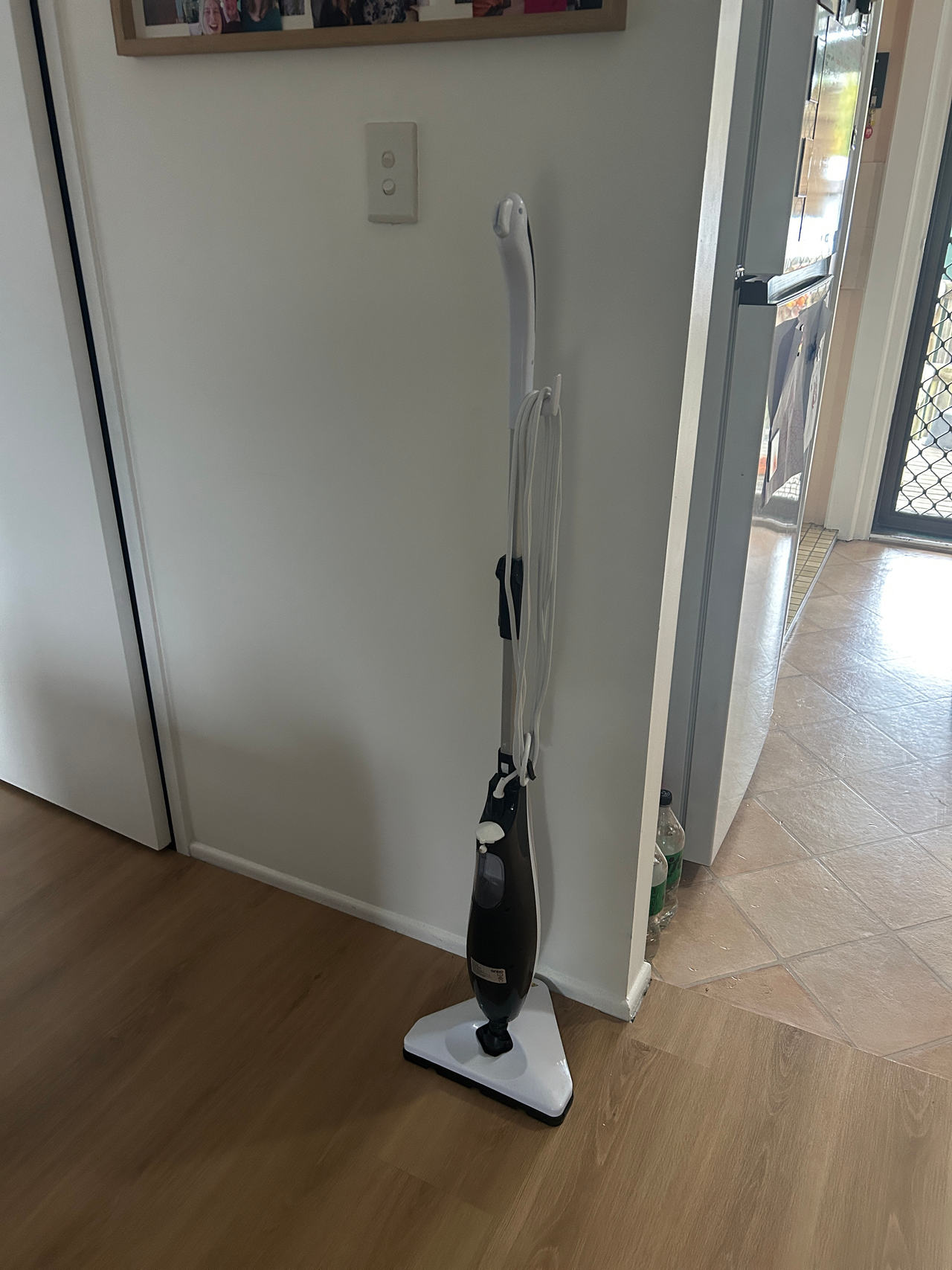 steam mop