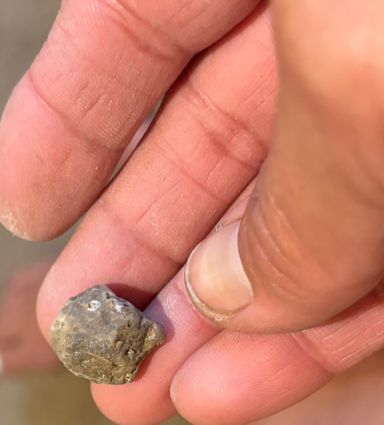 Raw Ambergris Nugget