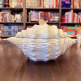 1991 Conch Seashell Soup Tureen 3 piece set - Image 1