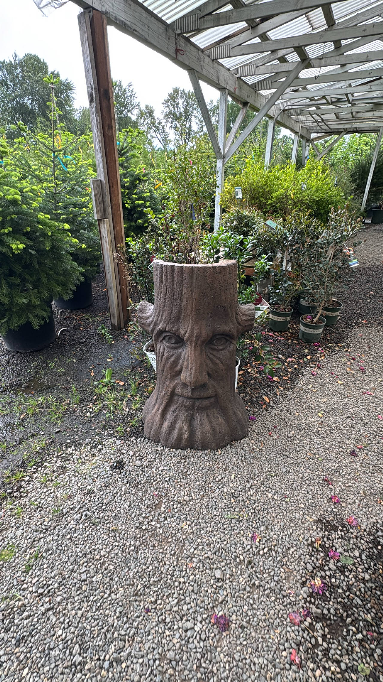 Tree Stump Face Planter