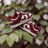Nike Dunk Low Team Red - Image 4