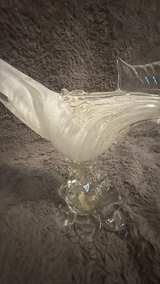 Murano Latticino Art Glass Pheasant Bird - Image 8