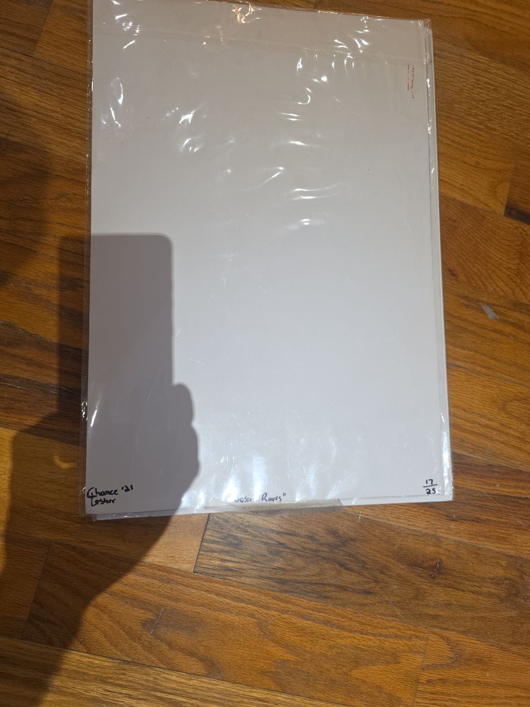 Jesus Raves Holographic Poster