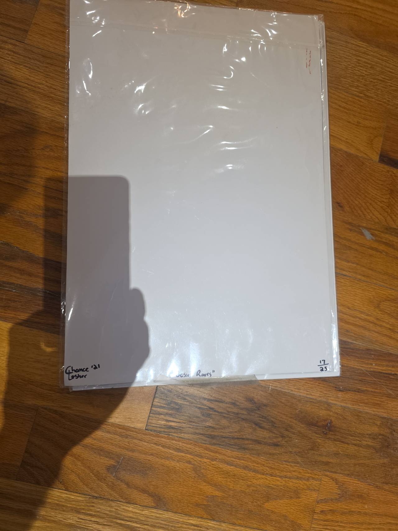 Jesus Raves Holographic Poster