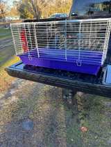 Kaytee Rabbit/Guinea Pig Habitat - Image 6