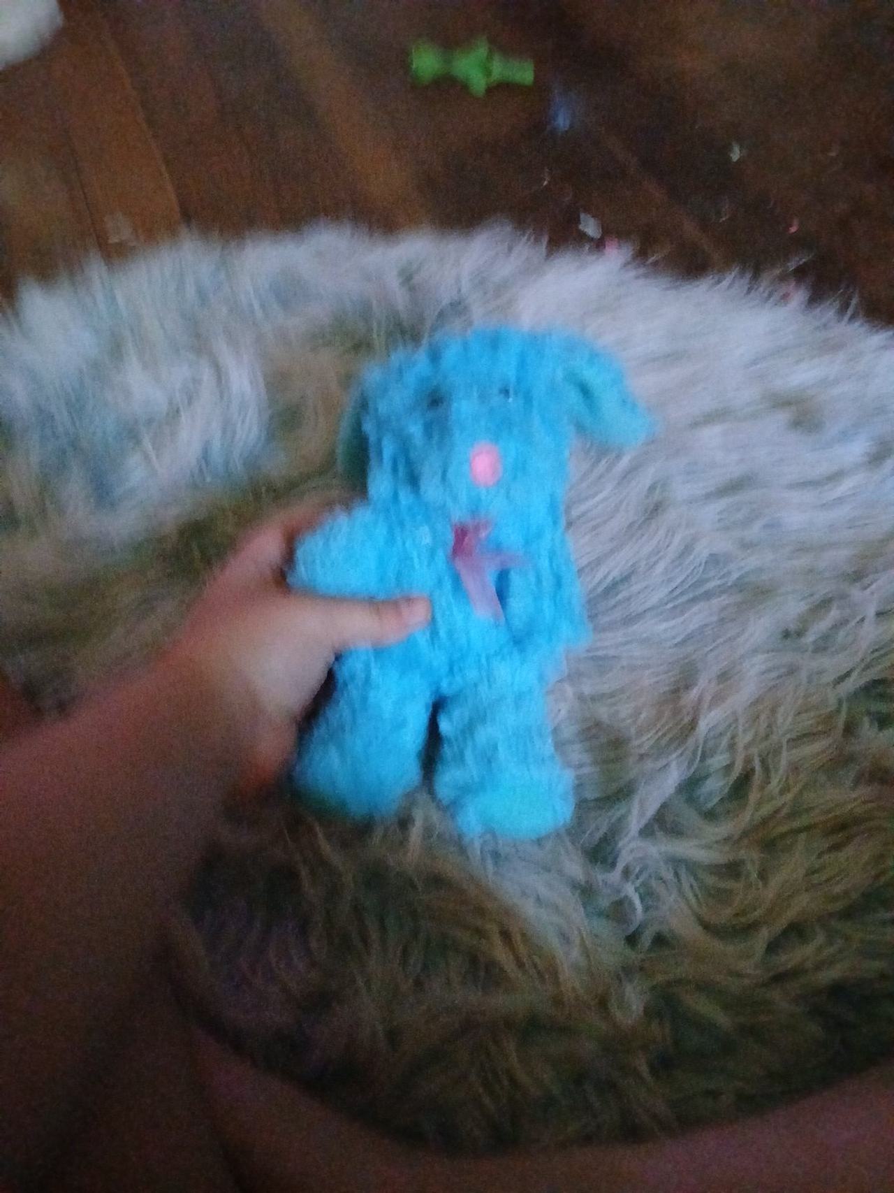 Blue Plush Bunny Rabbit