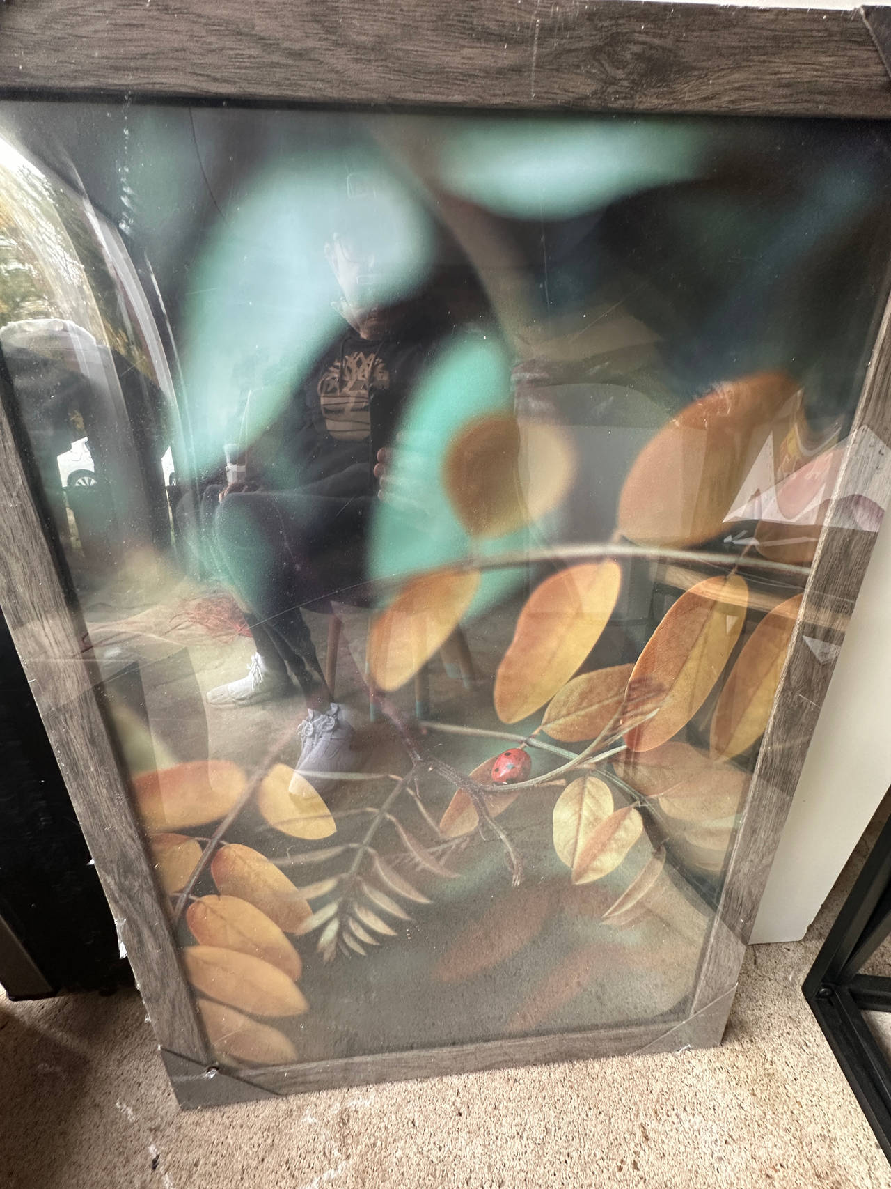 Framed Botanical Wall Art