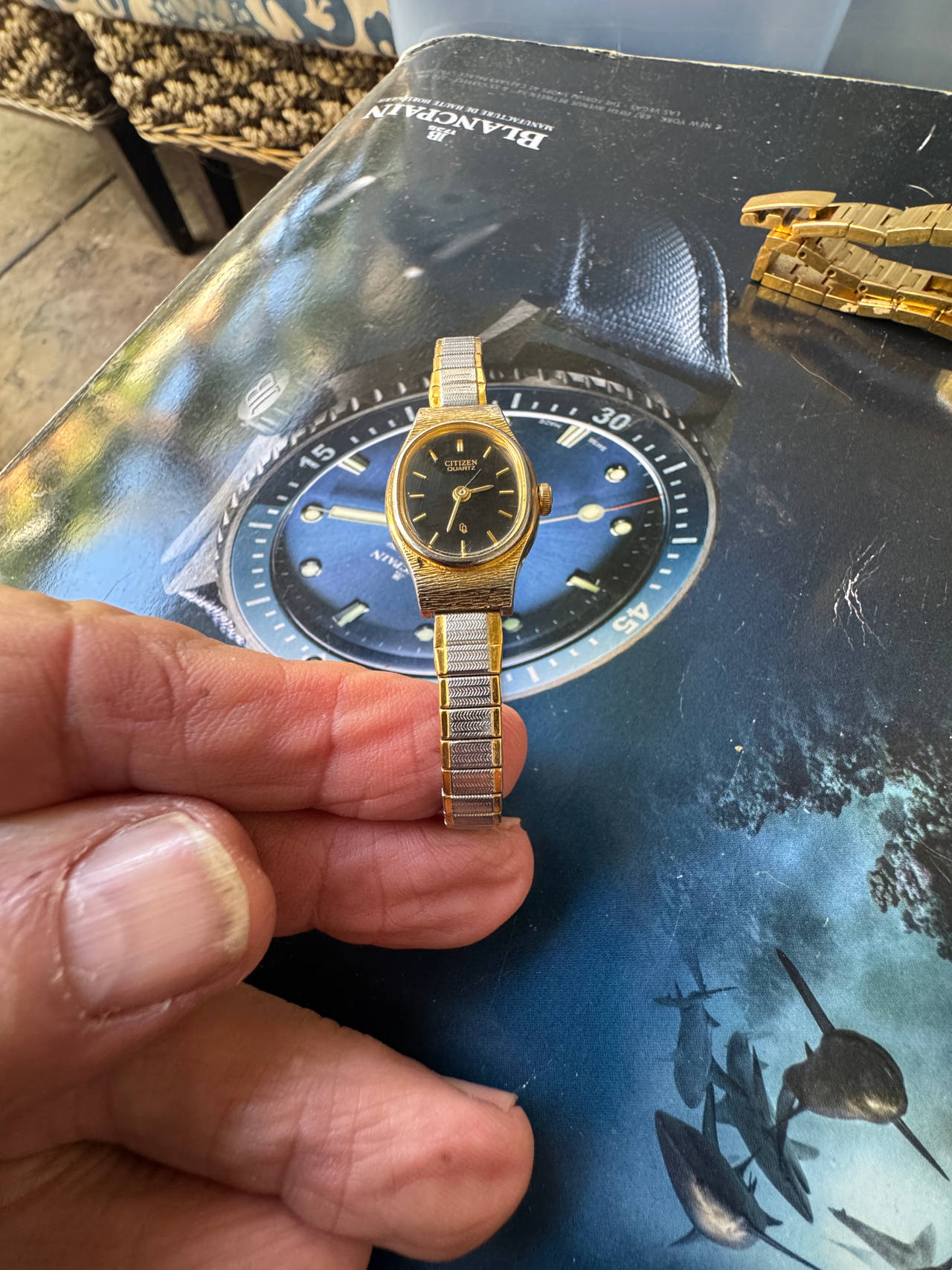 Citizen Vintage Ladies Quartz Two-Tone Watch