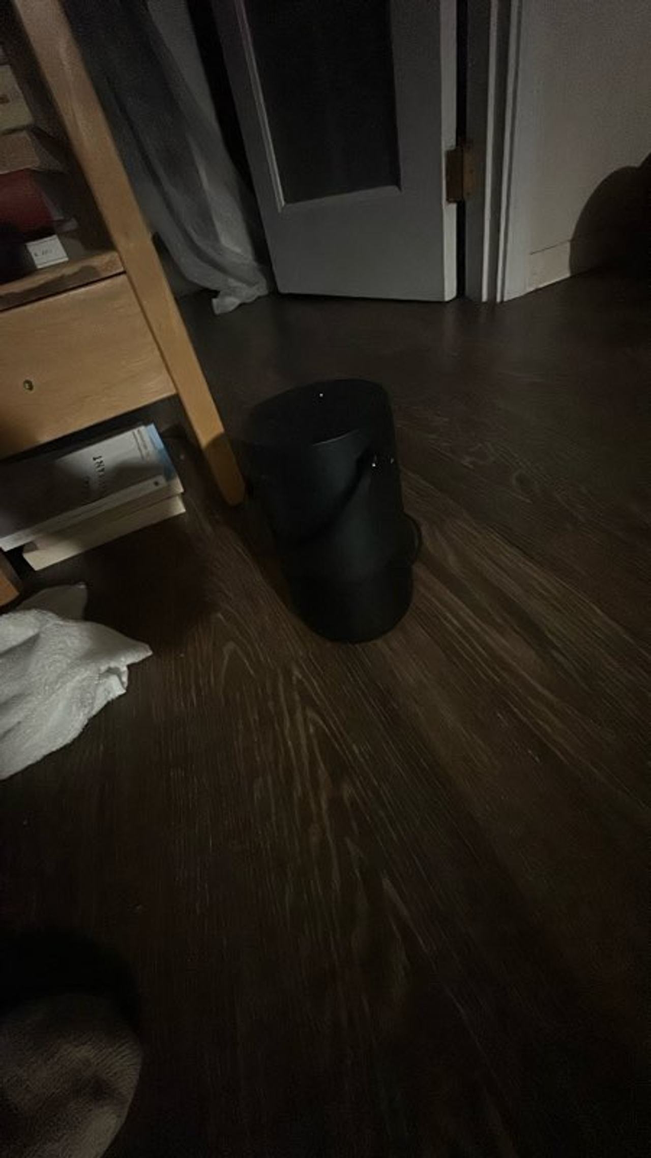 Sonos Move