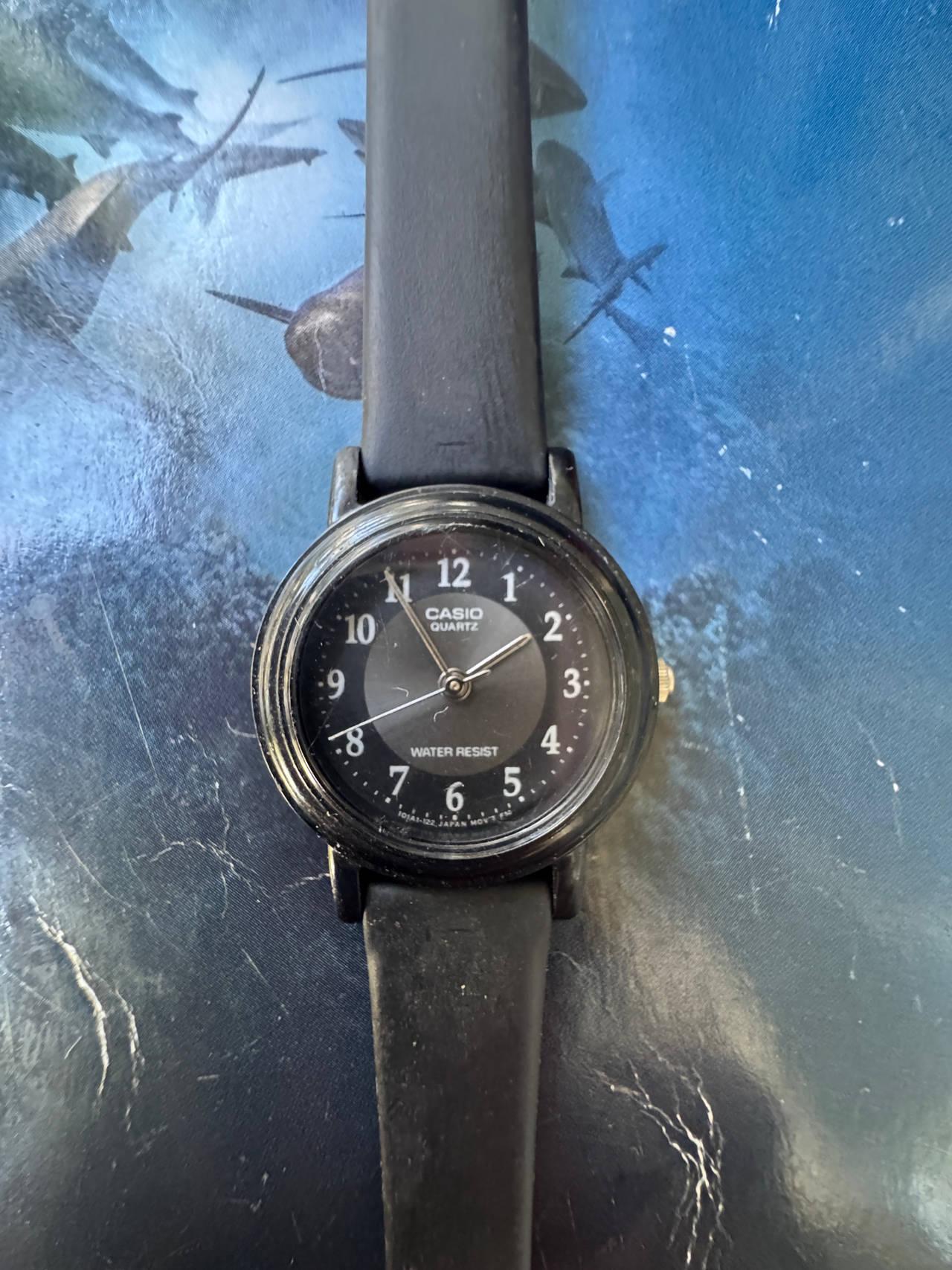 Casio MQ24-1B2 Analog Watch