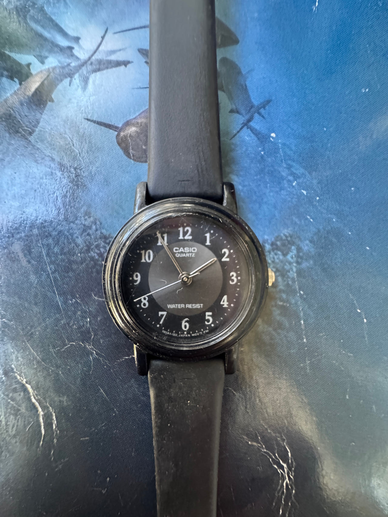 Casio MQ24-1B2 Analog Watch