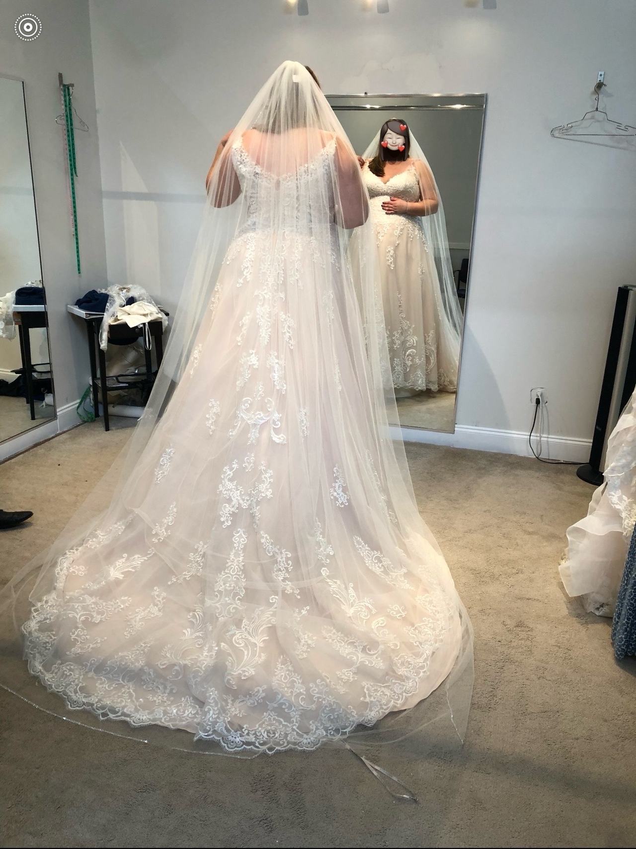 Cathedral Length Veil with Jewels around the edge