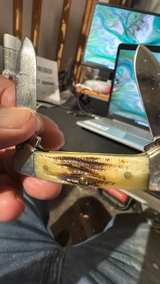 Case XX Stag Handle Pocket Knife - Image 4