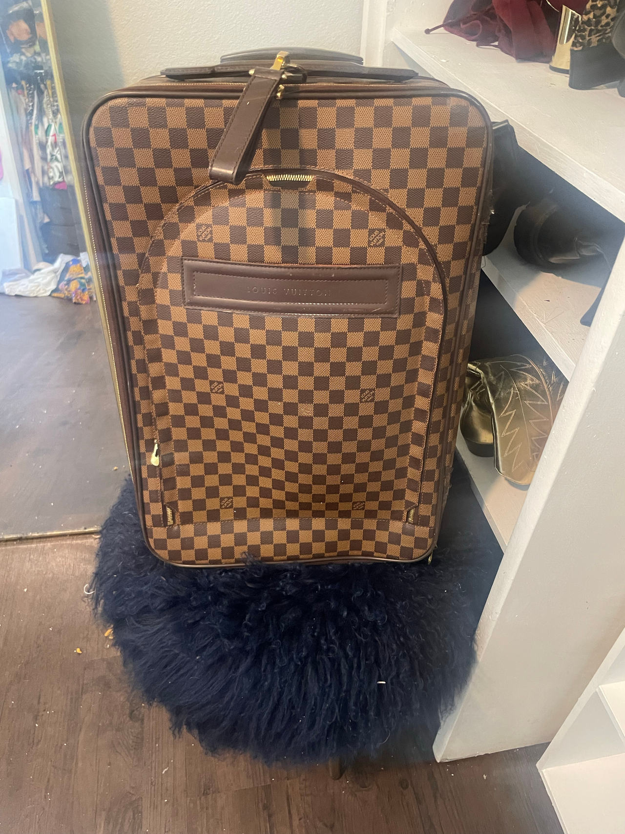 Louis Vuitton Pegase Luggage