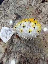 Club Earth Porcupine Fish Squirt Toy Vintage - Image 6