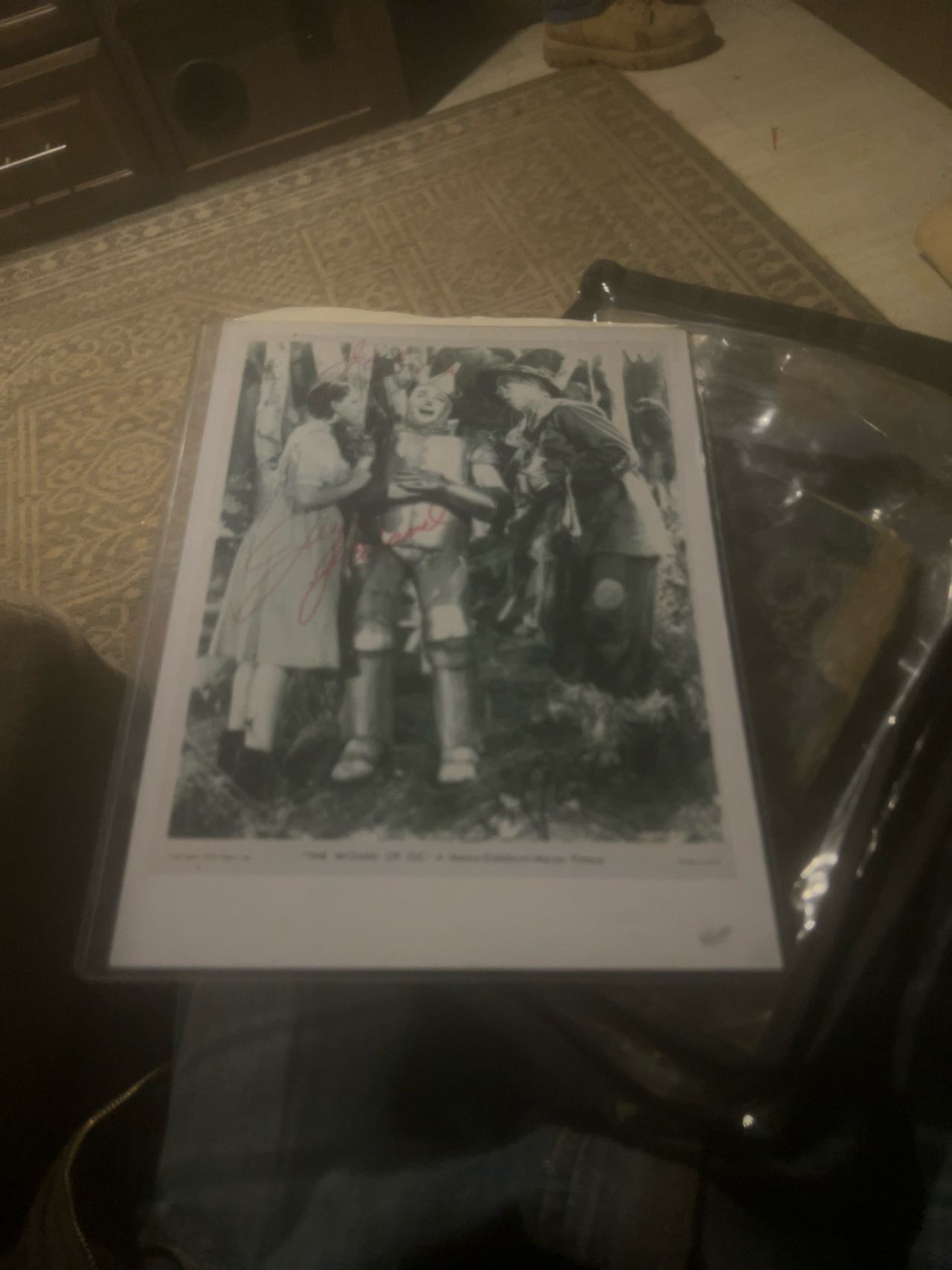 Wizard of Oz Vintage 8x10 Photo Print autographed 