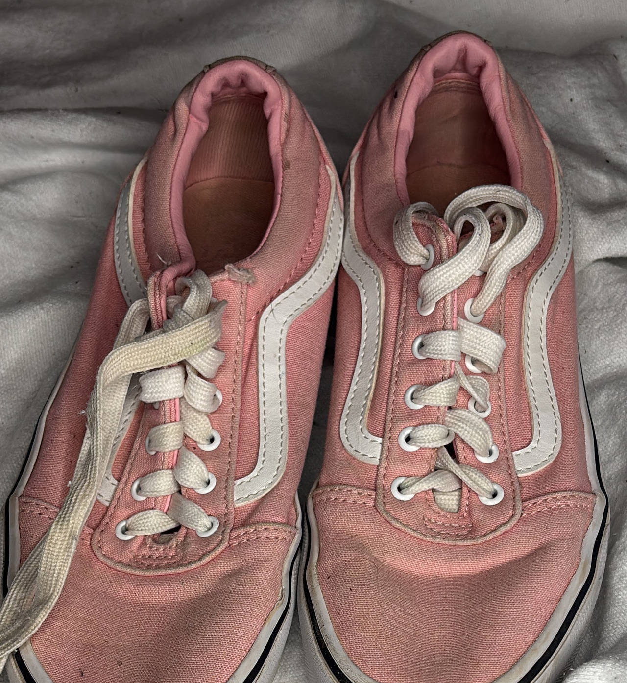 Vans Ward Pink Canvas Sneakers