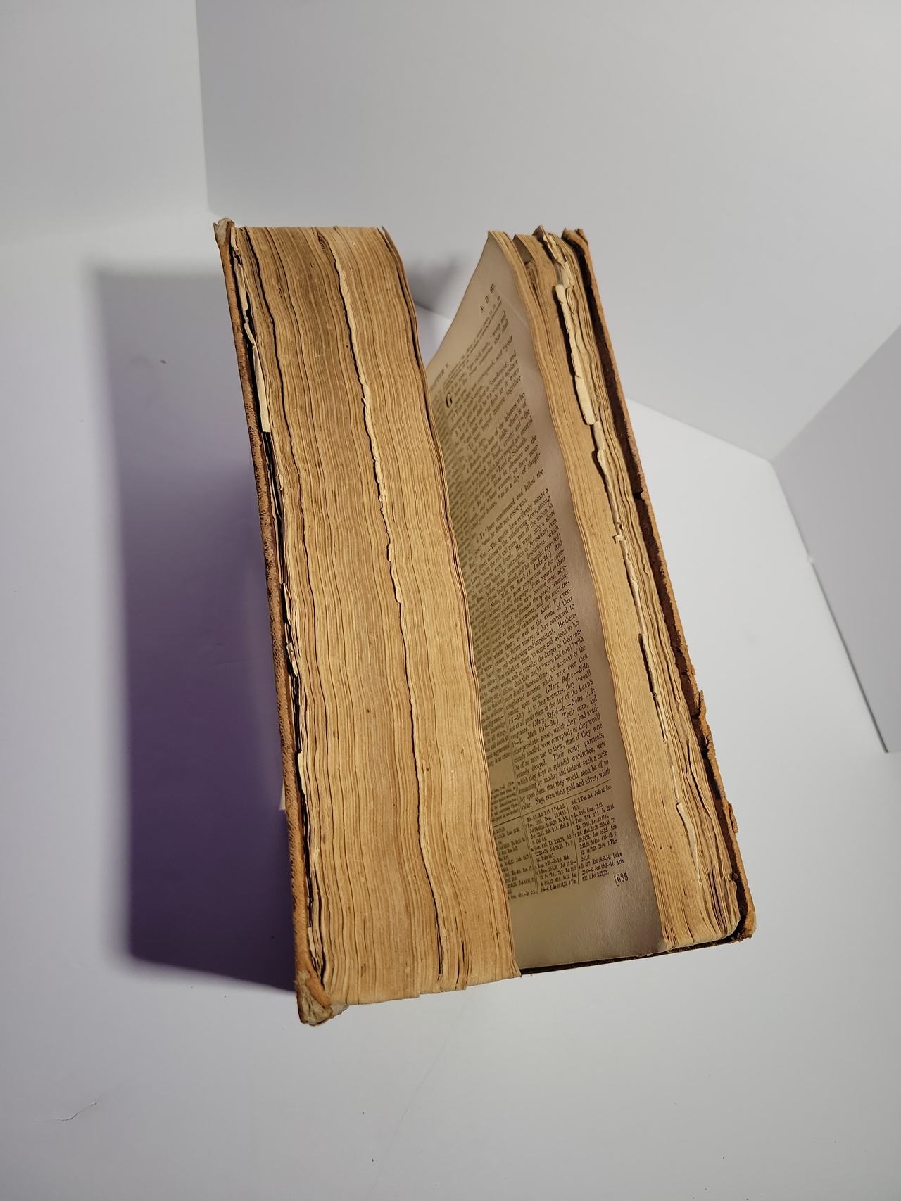 The Holy Bible (1830 Stereotype Edition, Vol. VI)