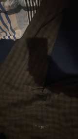 Van Heusen Wrinkle Free Broadcloth Shirt XL - Image 4