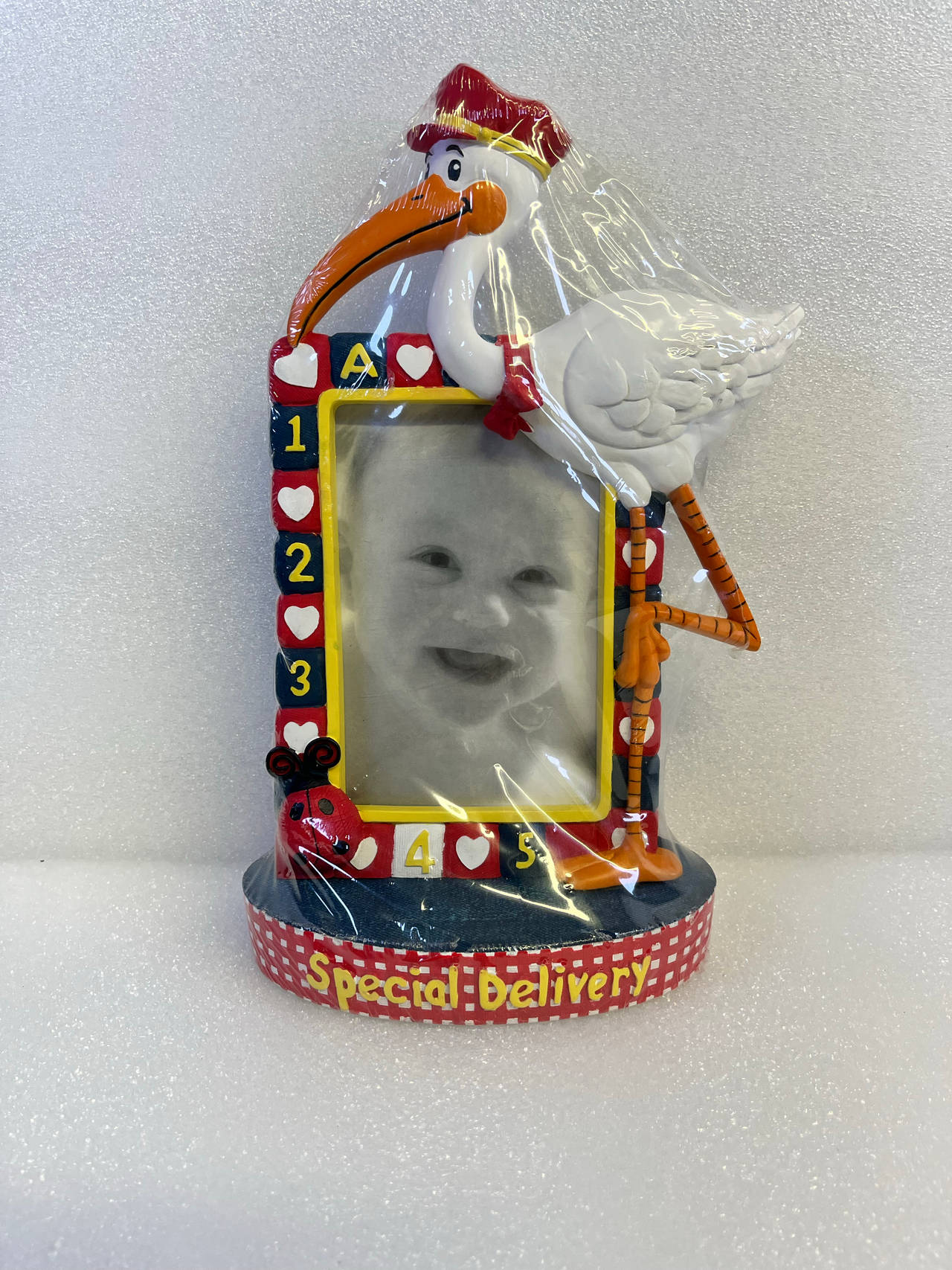 Special Delivery Stork Baby Photo Frame
