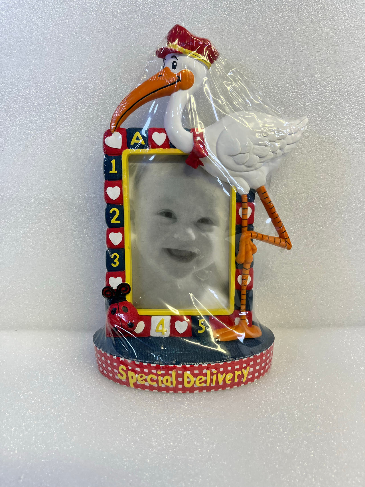 Special Delivery Stork Baby Photo Frame