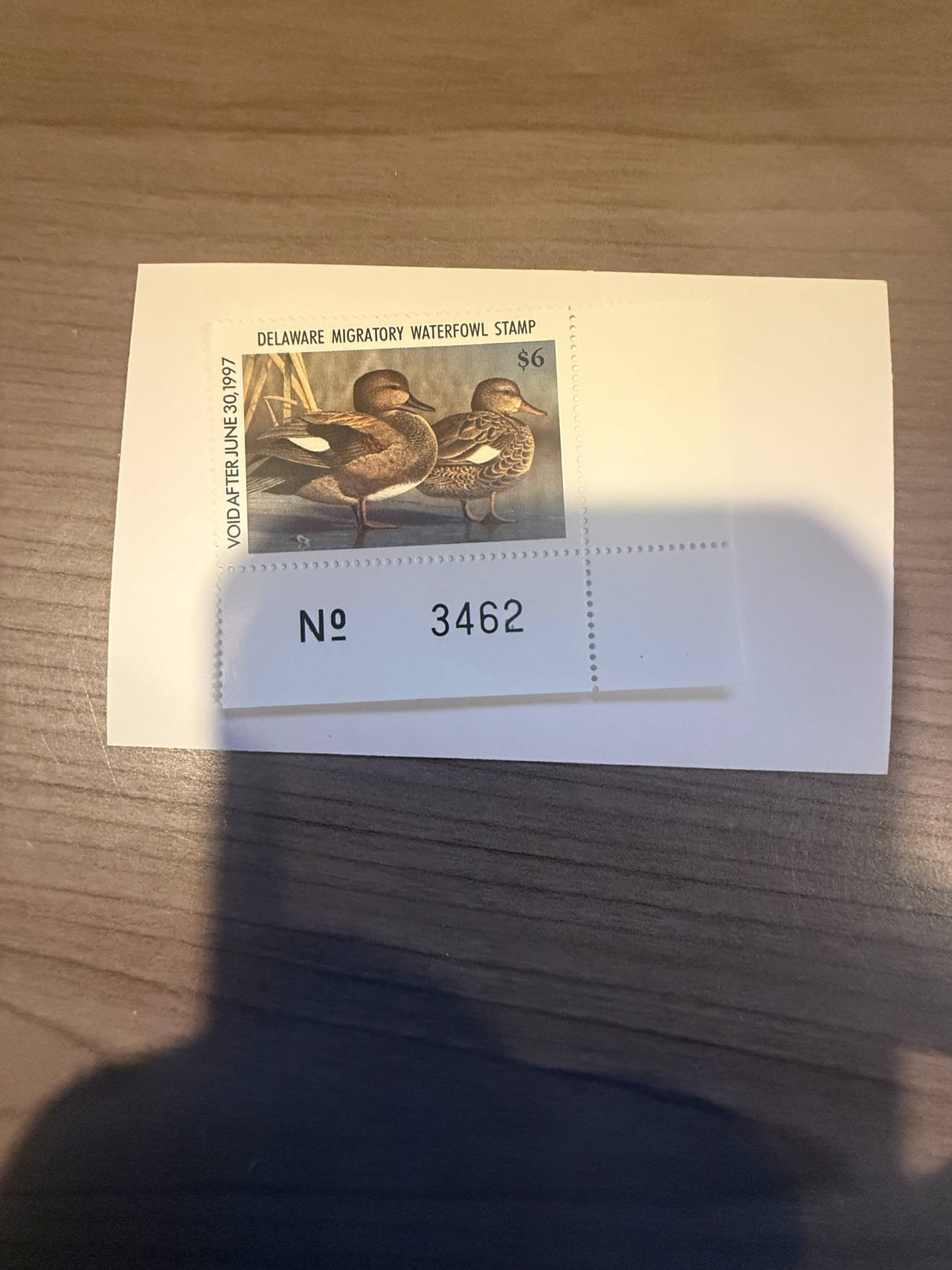 1996 Delaware Duck Stamp $6 Gadwall Pair