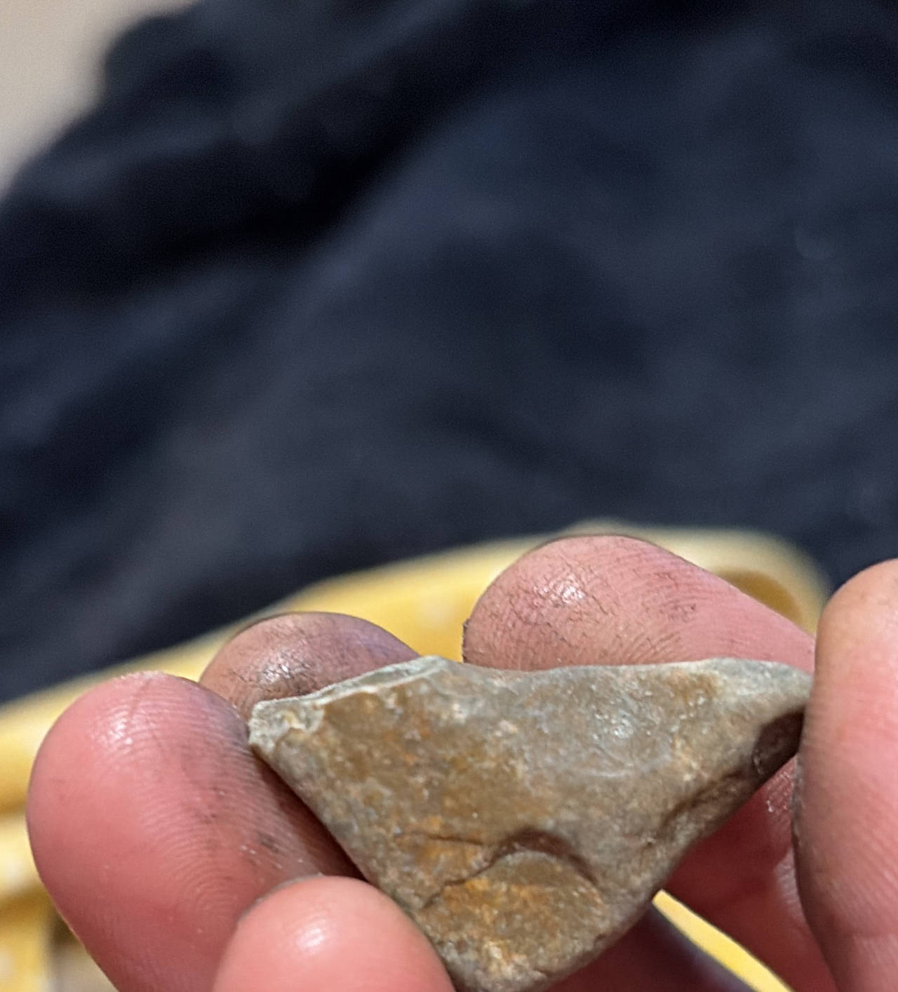 Lithic Flake Stone Artifact