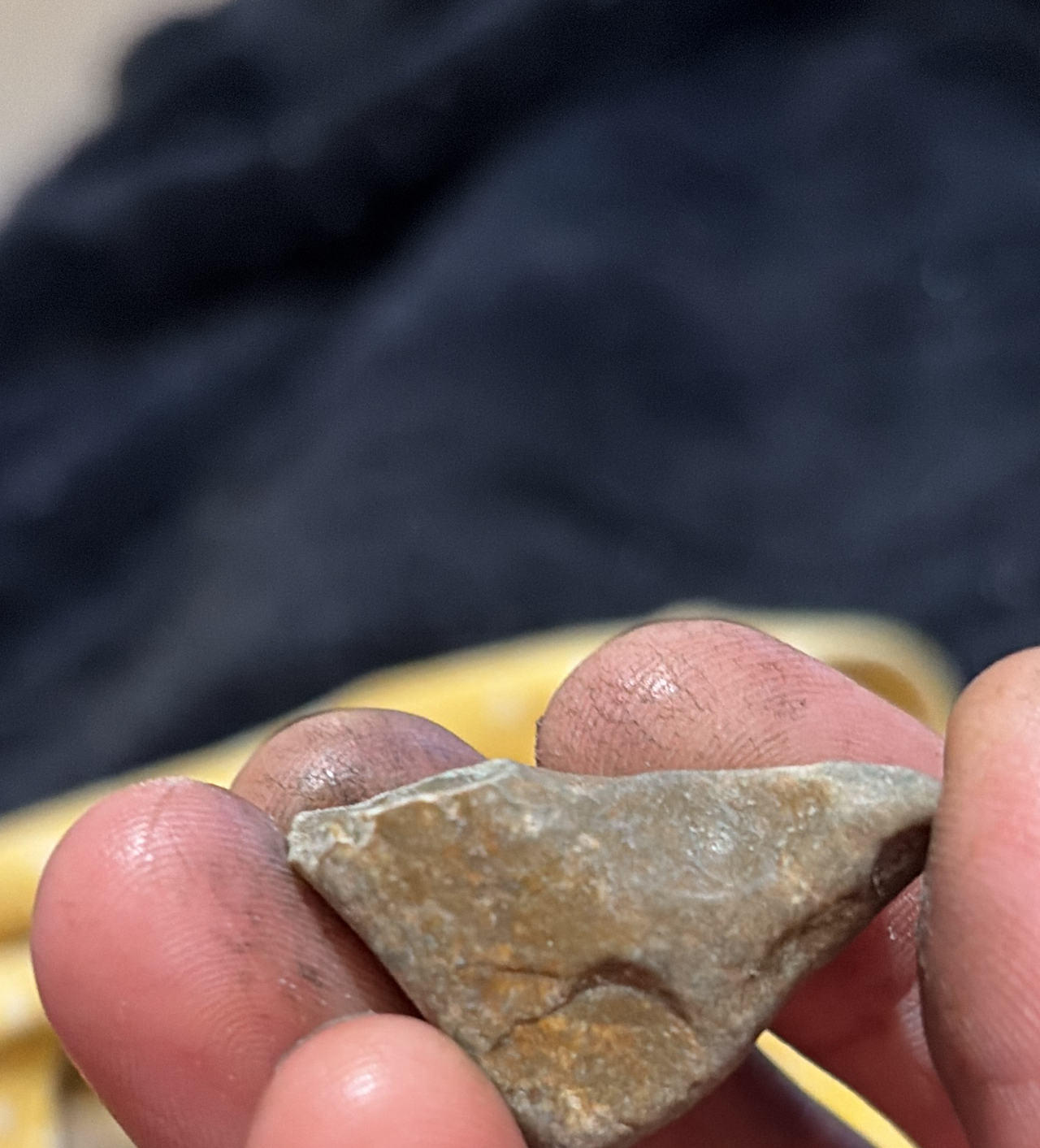 Lithic Flake Stone Artifact