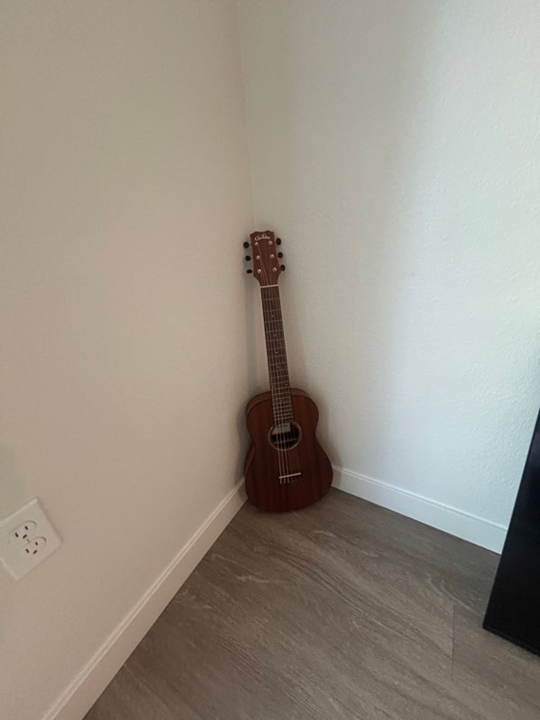 acoustic guitar
