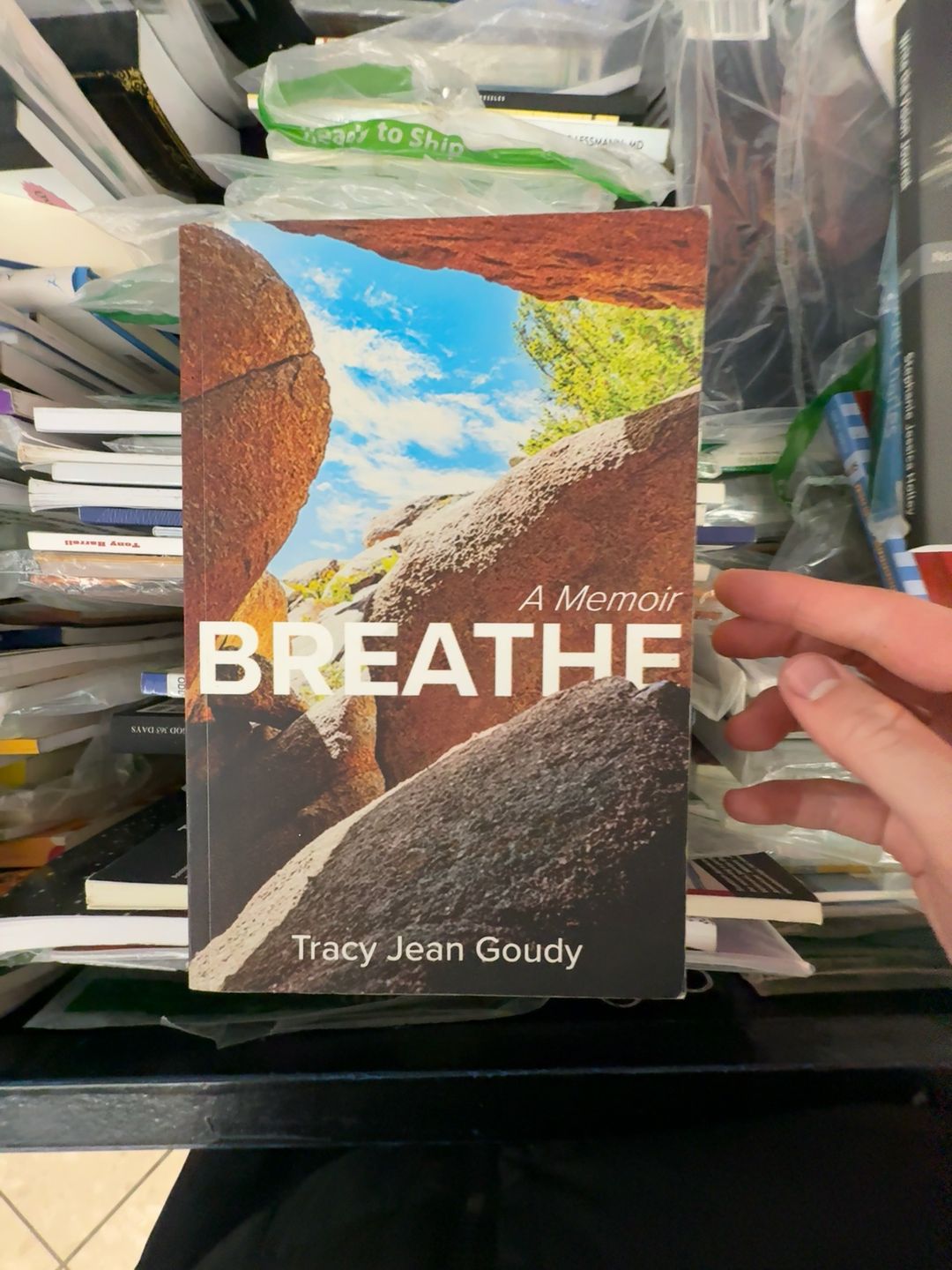 Breath by Tim Winton