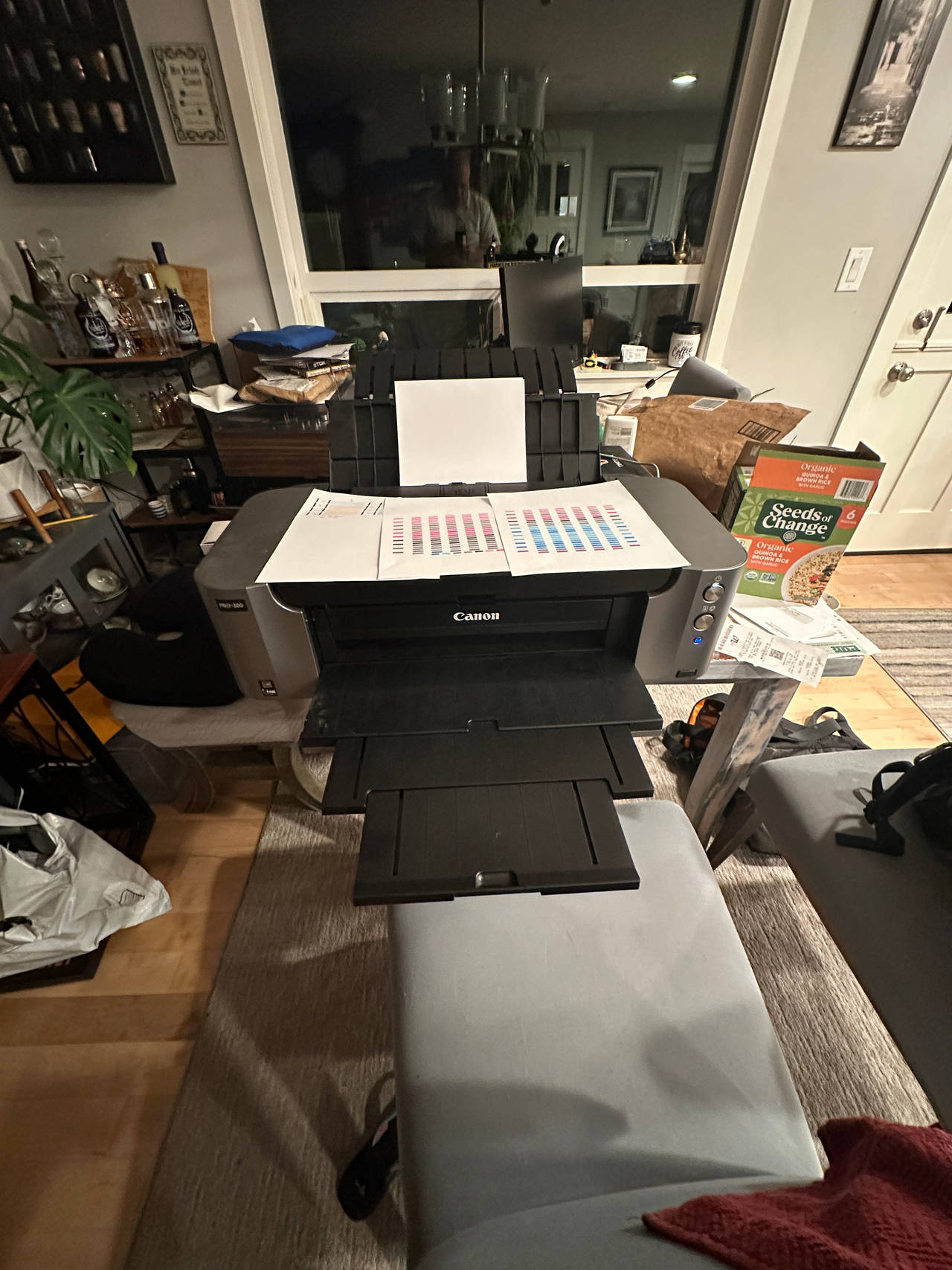 Canon PIXMA Pro-100