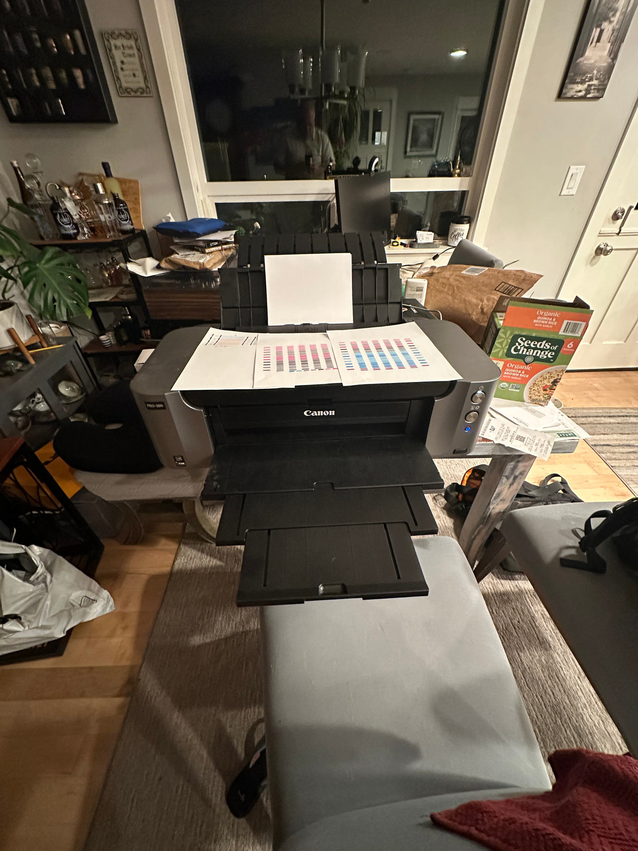 Canon PIXMA Pro-100