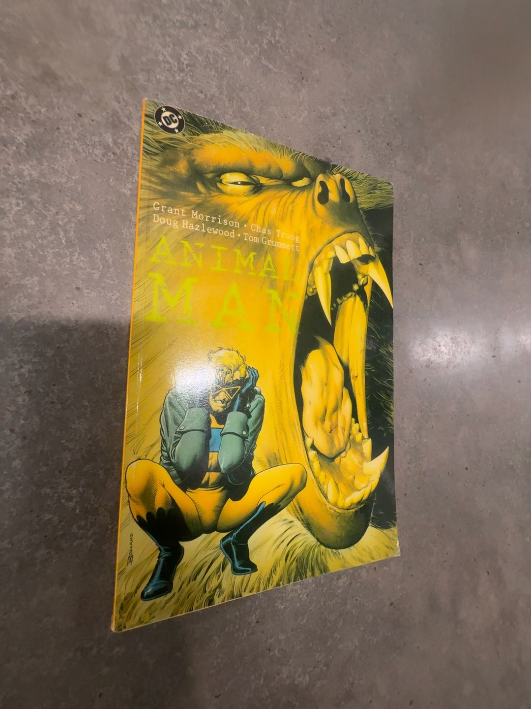 DC Comics Animal Man Volume 1 Paperback