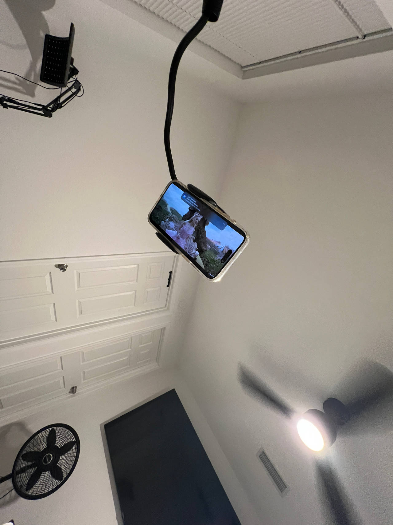 Gooseneck Phone Holder