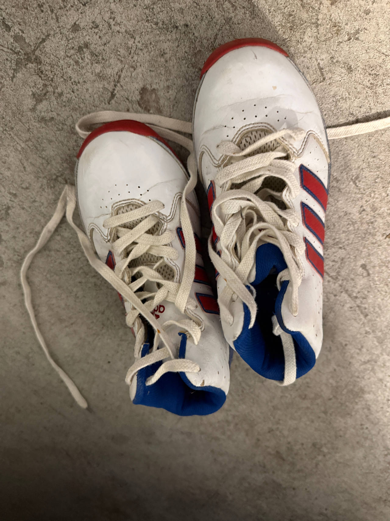 Adidas high-top sneakers