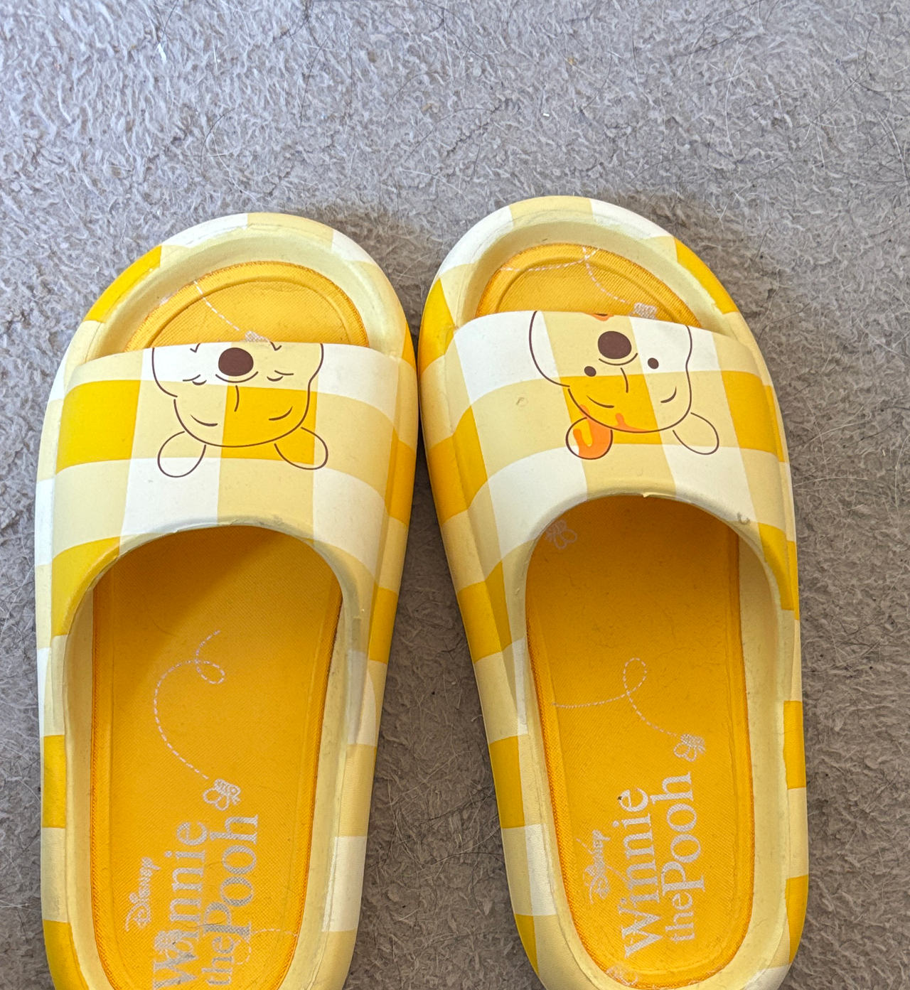 Disney Winnie the Pooh Gingham Checkered Slides