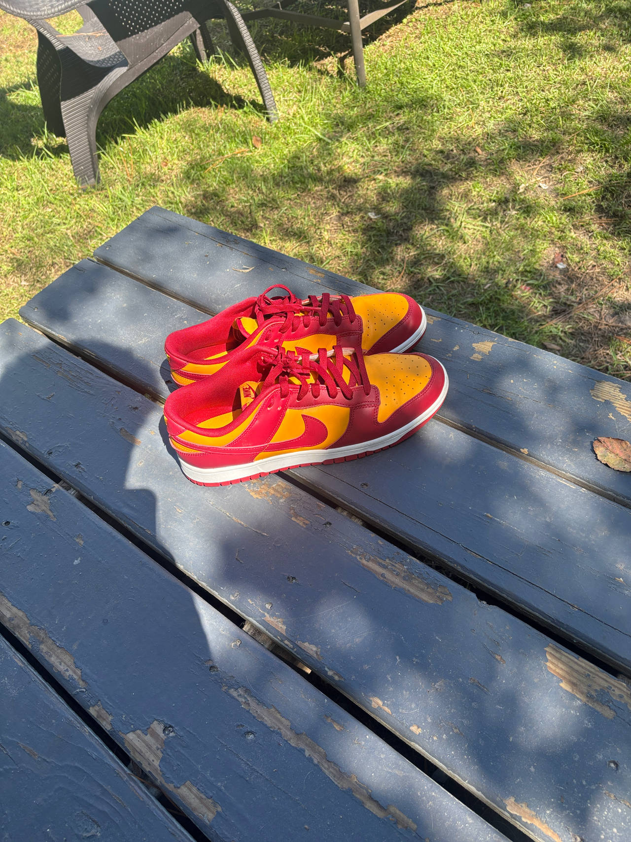 Nike Dunk Low