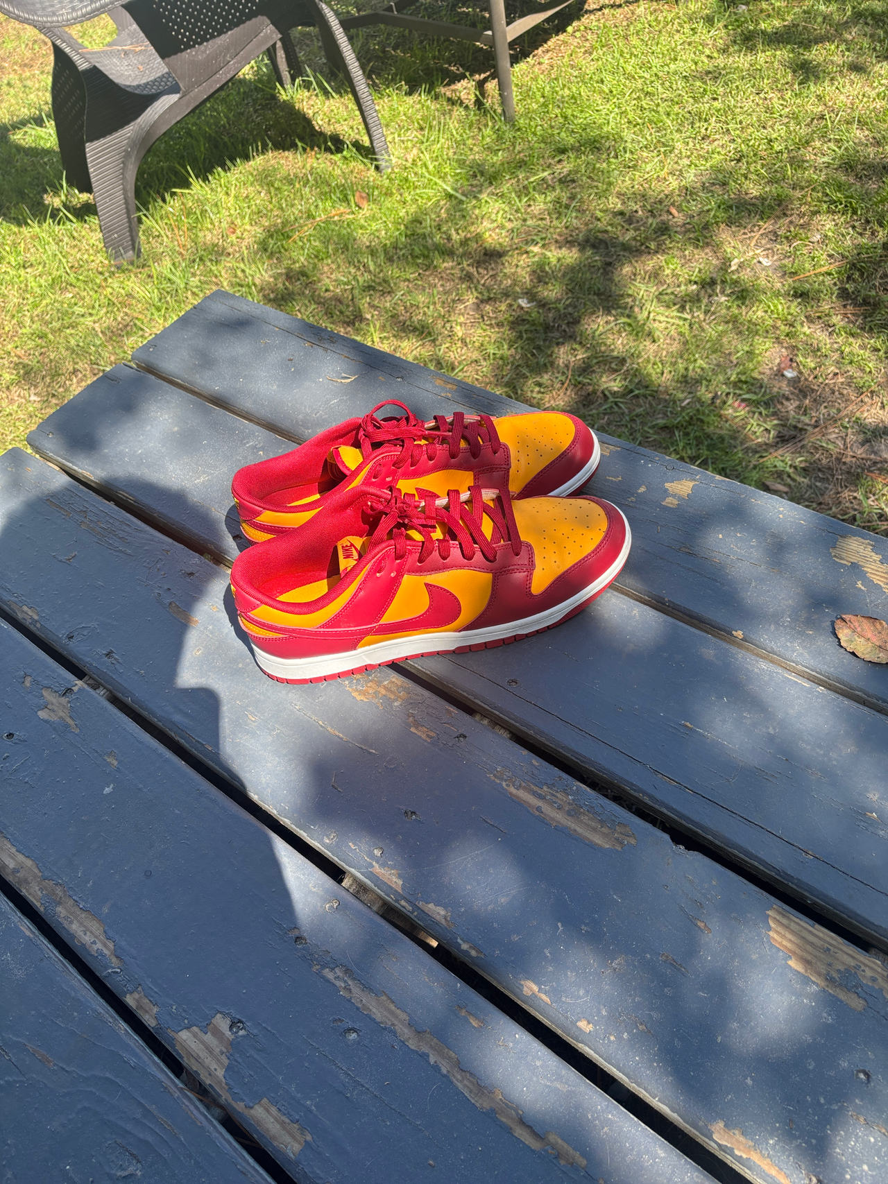 Nike Dunk Low