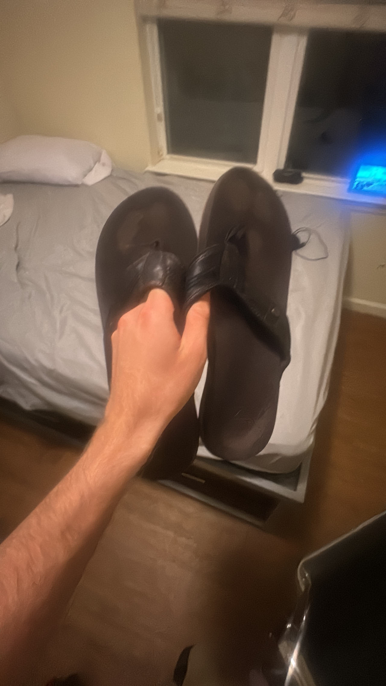 Reef flip flops 🩴