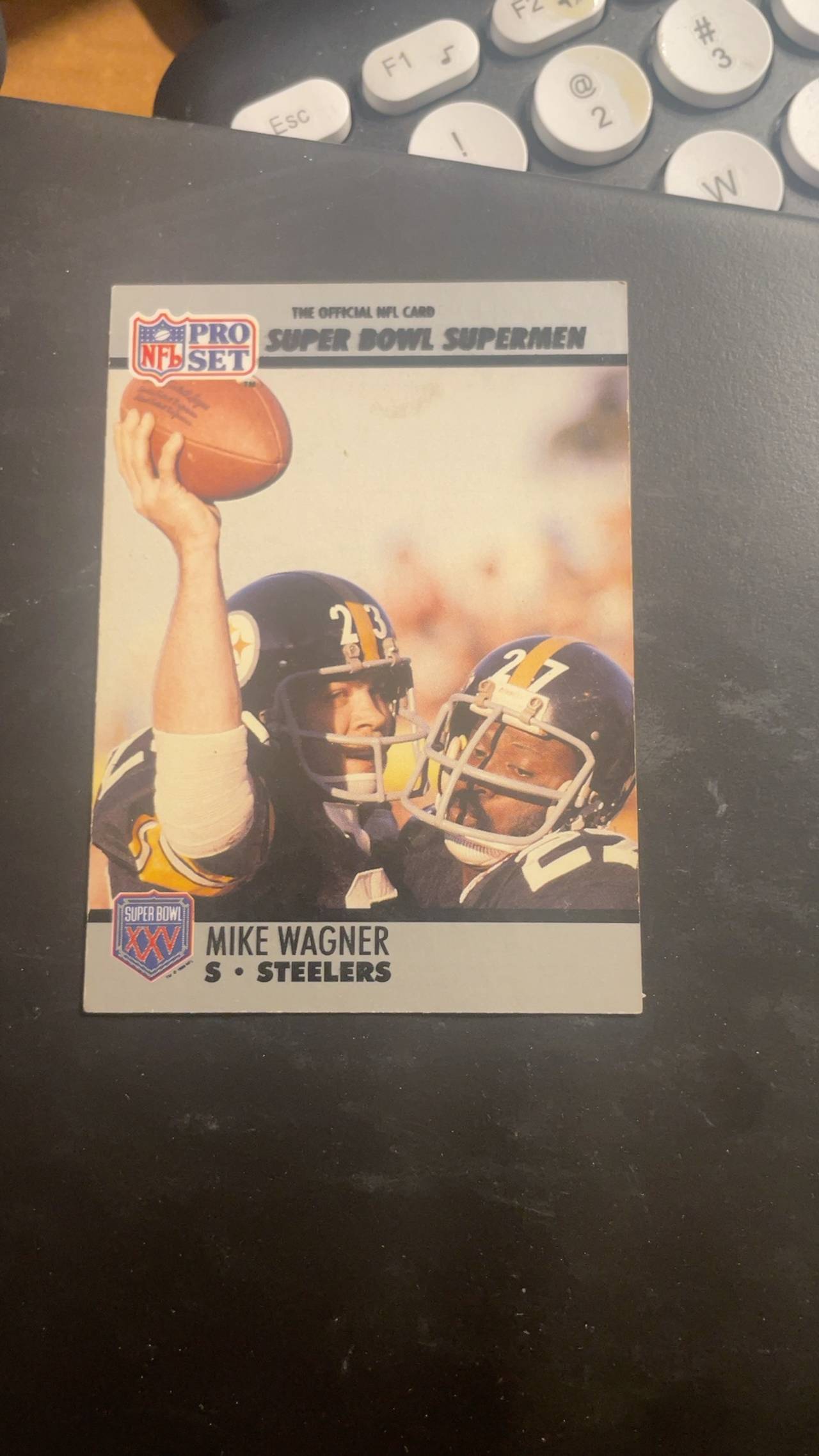 Pro Set 1990 Mike Wagner #114 Football Card
