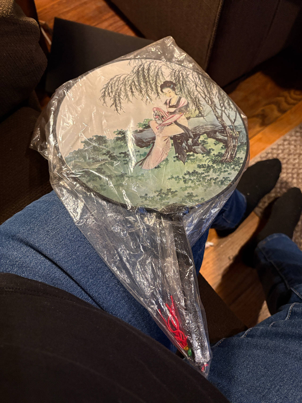 Chinese Silk Round Hand Fan with Willow Tree Scene