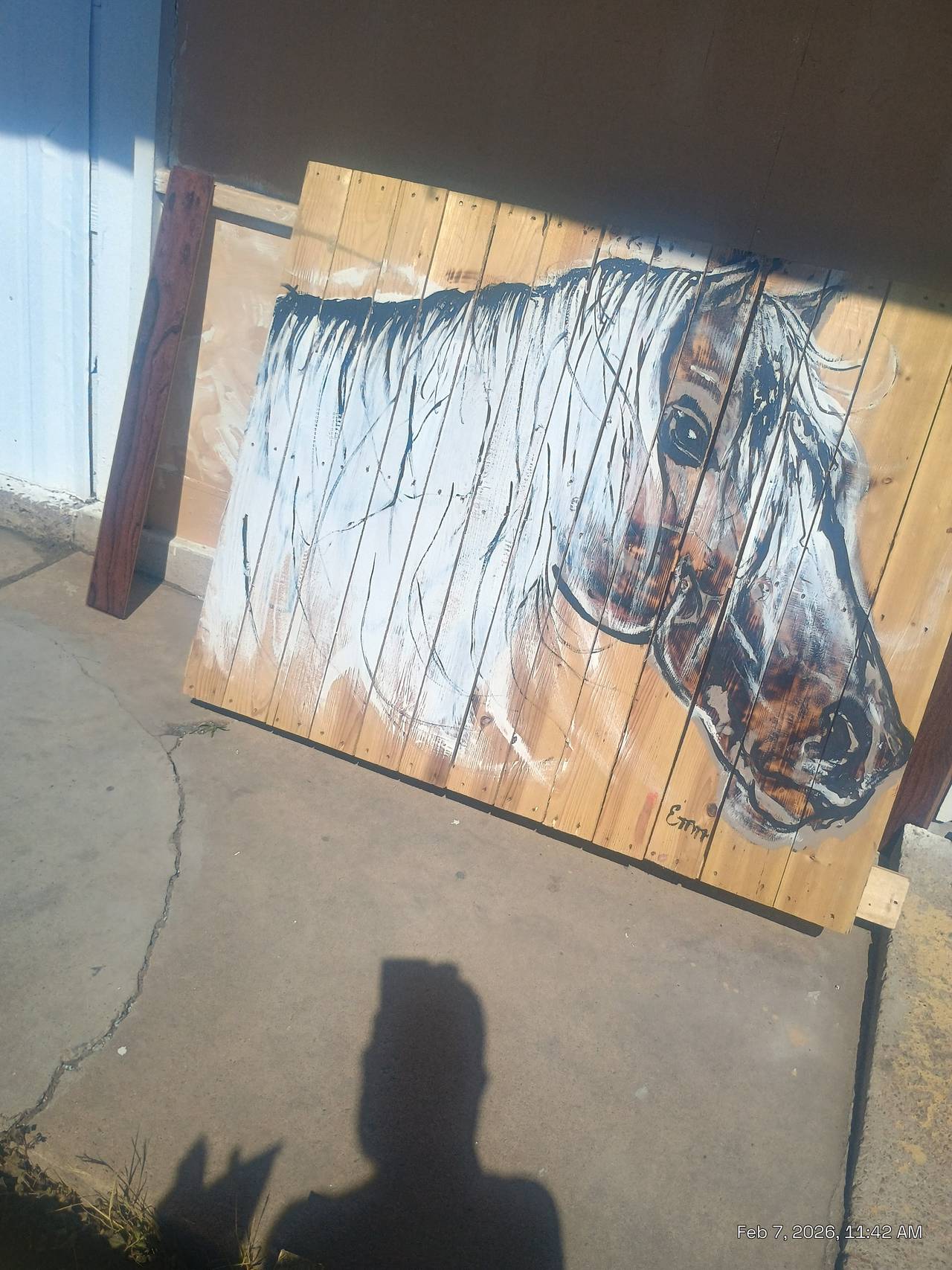 Hand Painted Horse Wood Wall Art