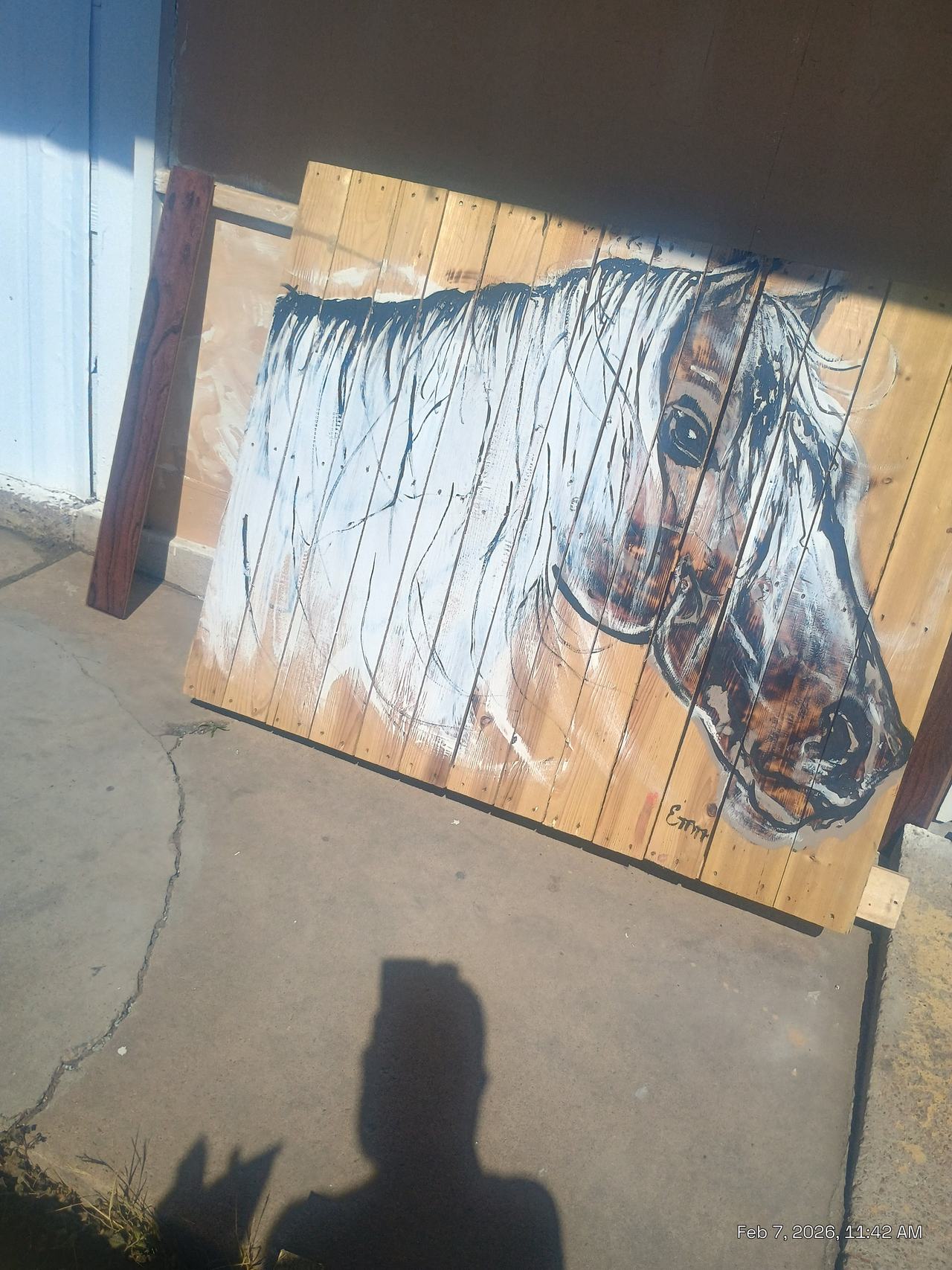 Hand Painted Horse Wood Wall Art