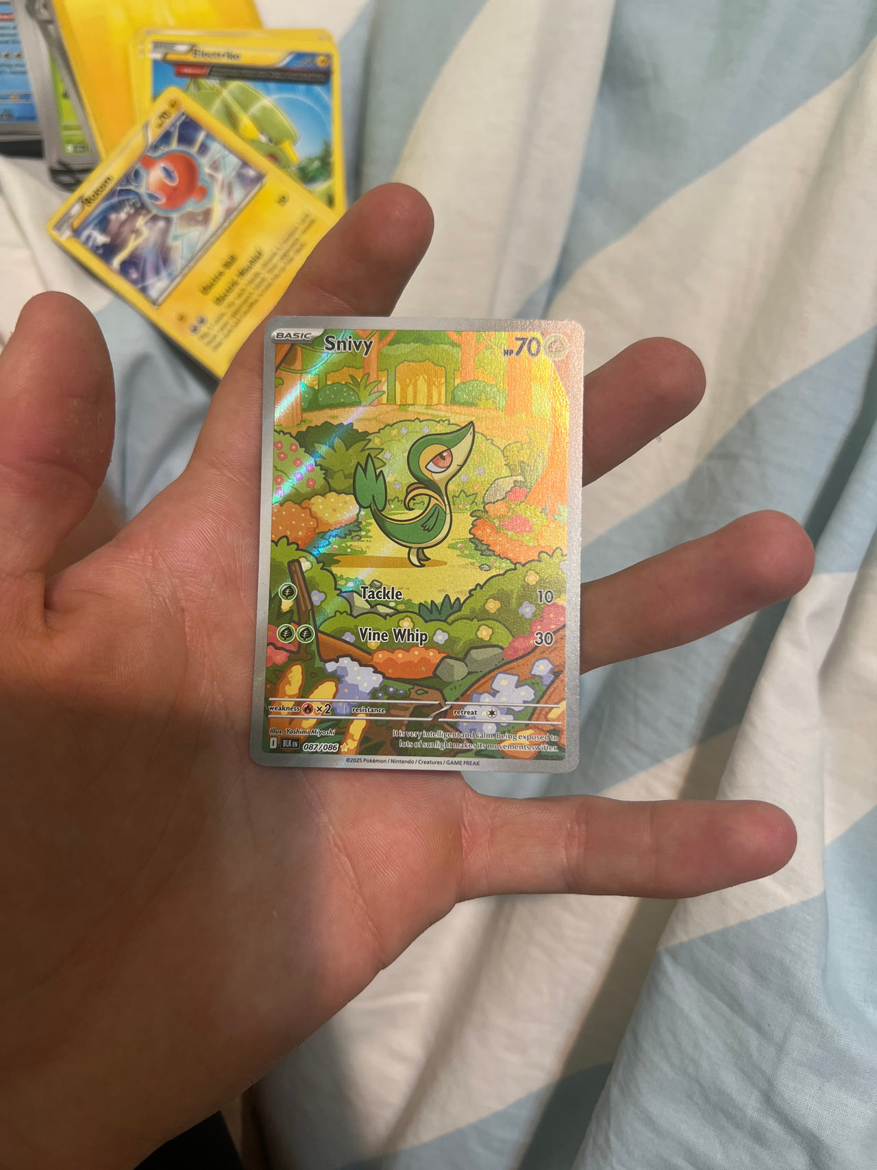 Snivy (Full Art)