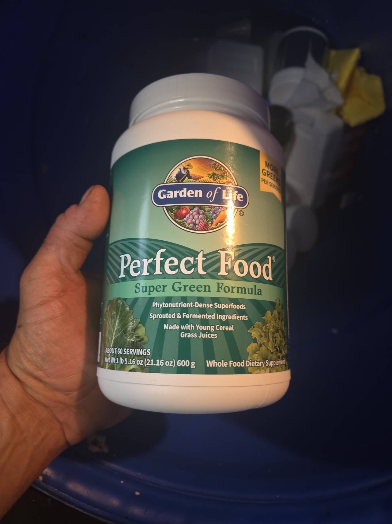 Garden of Life Perfect Food Super Green Formula Powder 600g
