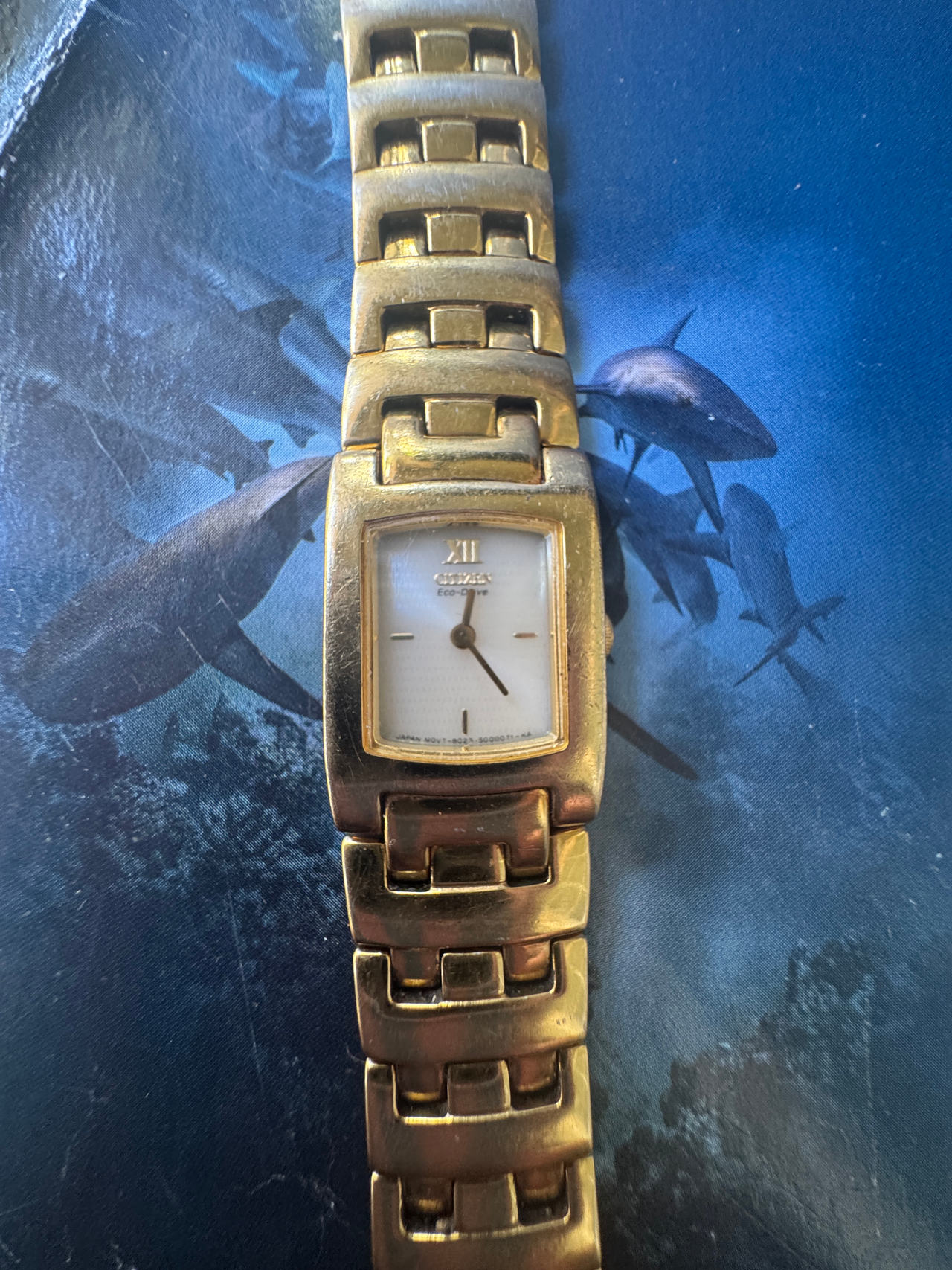 Citizen Eco-Drive Gold-Tone Women's Watch