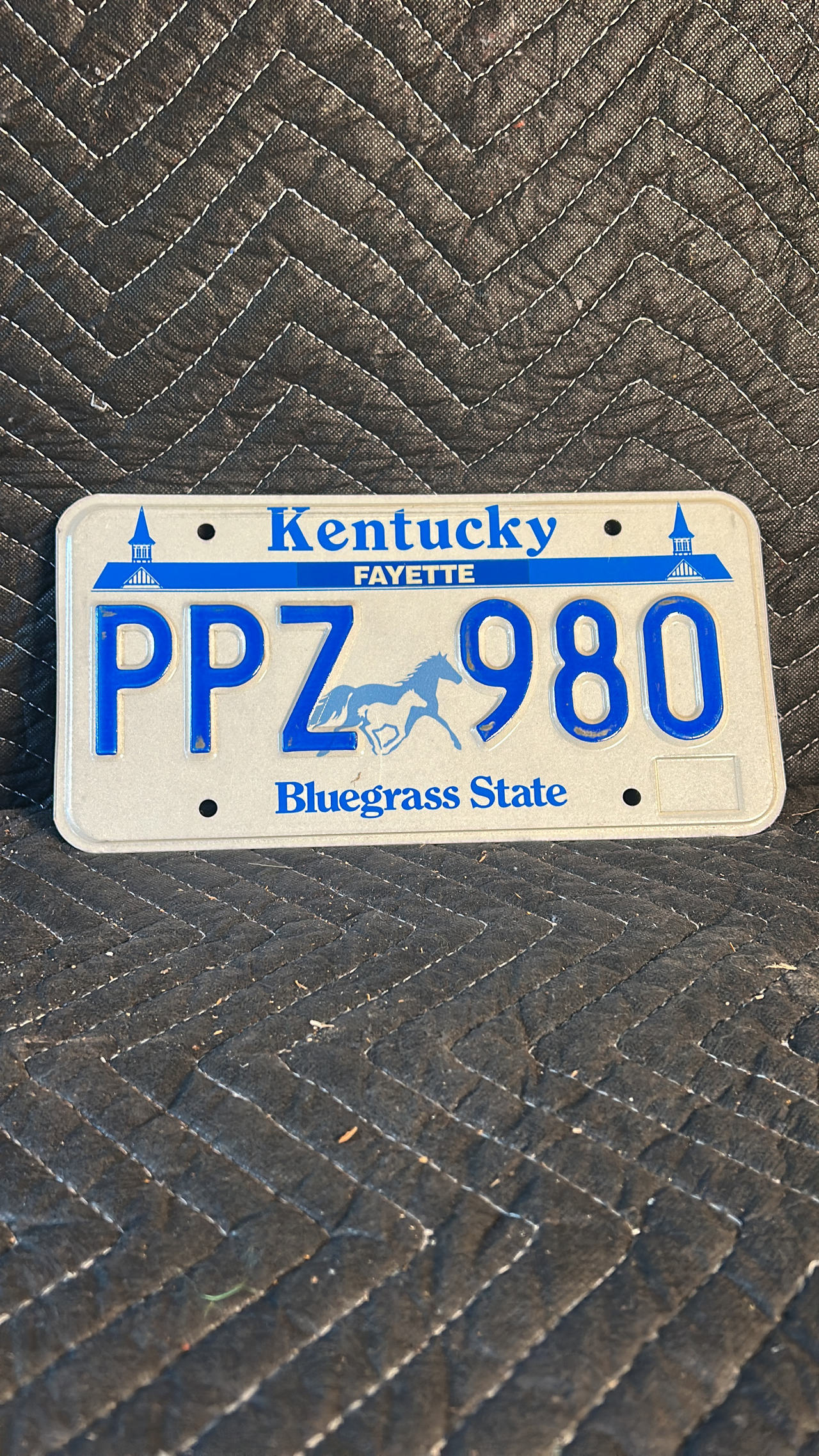 Kentucky License Plate PPZ 980